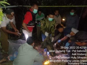 Bersihkan Kebun, Warga di Paluta Temukan Tulang Belulang Manusia