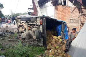 Seruduk Tiang Listrik di Paluta, Supir Mobil Angkut Durian Tewas