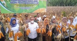 Kunker Gubernur Sumatera Utara Dukung Ketahanan Pangan di Wilayah Tabagsel