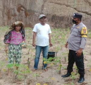 Bhabinkamtibmas Polsek Batunadua Humanis, Dengar Keluhan Langsung Petani