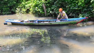 Mau Tau Ikan ‘Keramat’ di Tapsel, Ini Namanya
