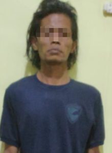 Bak Milik Sendiri, Pria Gondrong Nekad Gendong Sawit Milik PTPN Batangtoru Tapsel