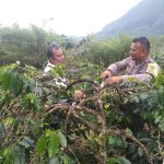 Ringkan Beban Petani Kopi