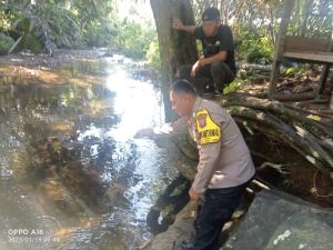 Sambil Silaturahmi, Bhabinkamtibmas Polsek Batangtoru Bantu Warga Beri Pakan Ikan