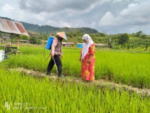 Demi Menolong Masyarakat, Bripka Adi Rela Jadi Petani Dadakan di Tapsel