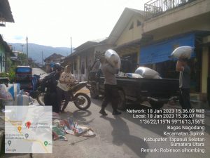 Tak Kenal Lelah, Bhabinkamtibmas Polsek Sipirok Bantu Masyarakat Mengumpulkan Padi