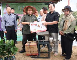 Bupati Tapsel Berikan Bantuan 10 Ribu Batang Bibit Cabai di Kecamatan Sipirok