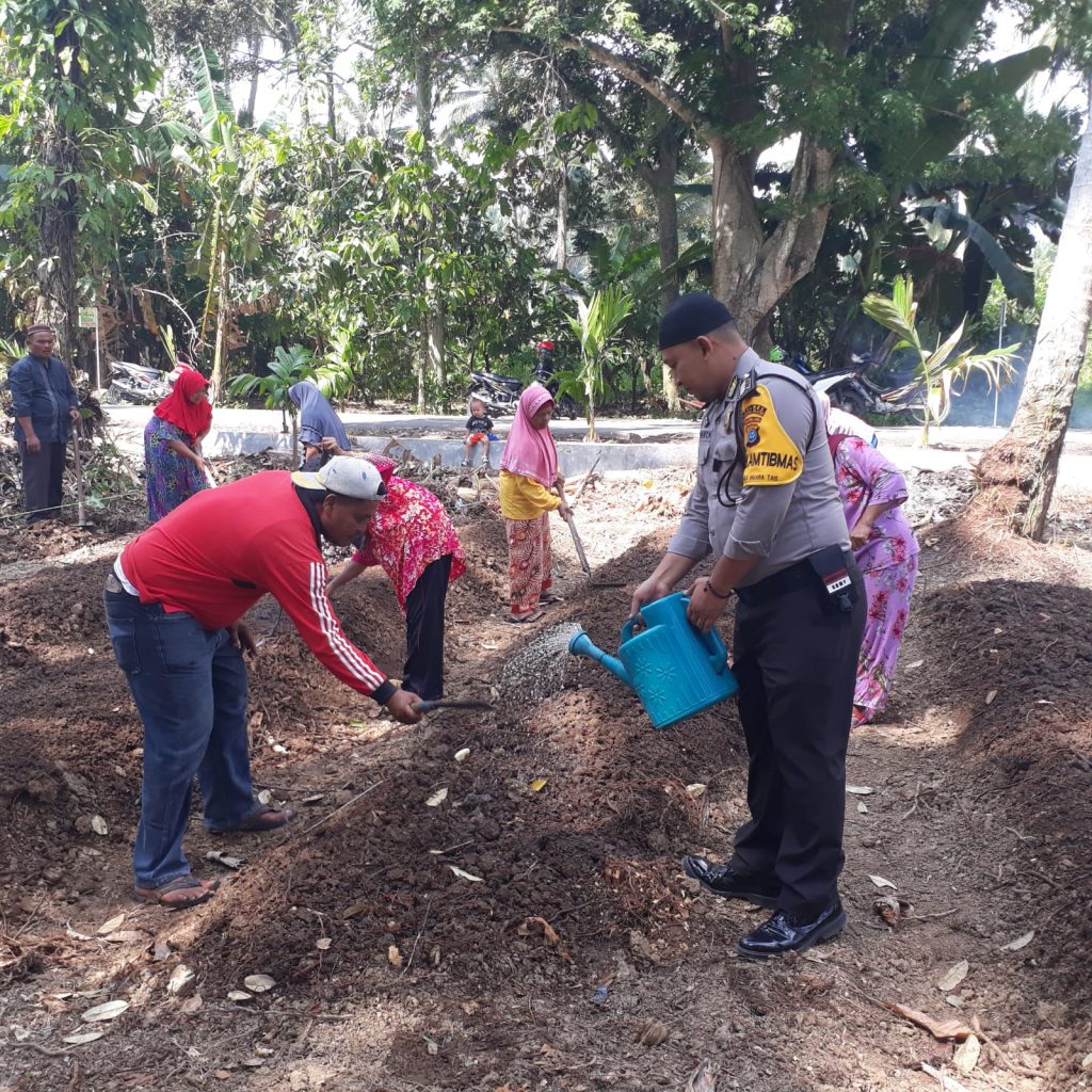 Wujud Polisi Penolong, Bhabinkamtibmas Polsek Batang Angkola Bantu Masyarakat Menanam Tanaman