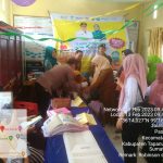 Pekan Imunisasi Nasional