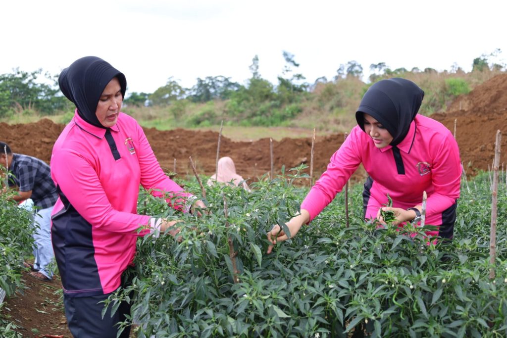 Patut Diapresiasi, Ini Inisiatif Bhayangkari Dukung Ketahanan Pangan Pemkab Tapsel