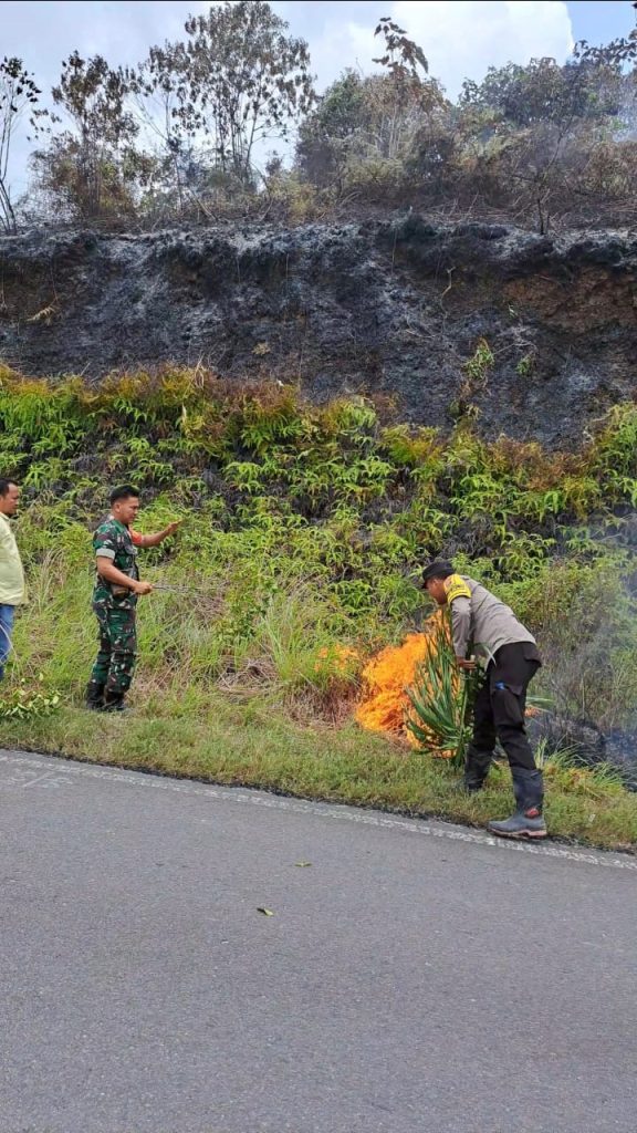 Karhutla di Angkola Sangkunur, Polsek Batangtoru Langsung Terjun ke Lokasi