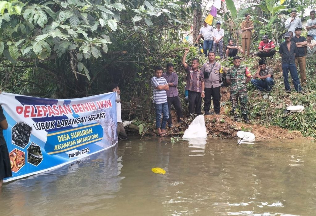 Bersama Warga, Polsek Batang Toru Lepas Ribuan Bibit Ikan Ke Sungai