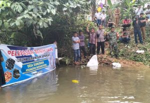 Bersama Warga, Polsek Batang Toru Lepas Ribuan Bibit Ikan Ke Sungai