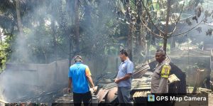 Gegara Api untuk Bakar Sarang Tawon, Dapur Rumah Warga di Padangsidimpuan Terbakar