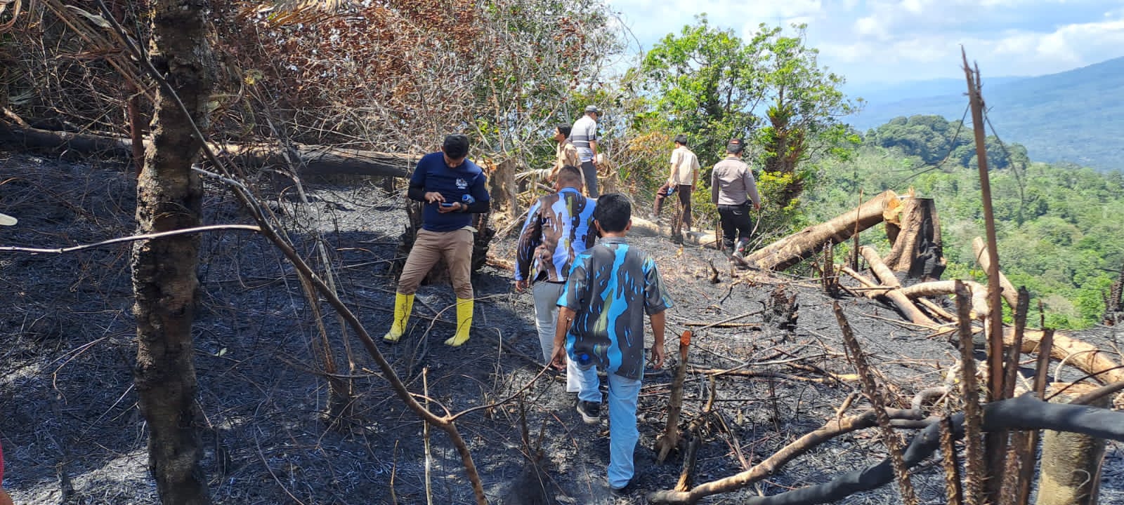 Lahan Siuhom Tapsel Terbakar