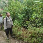 Kebakaran Lahan Panobasan Tapsel