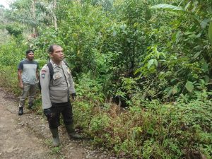Berkat Hujan, Kebakaran Lahan di Panobasan Tapsel Padam