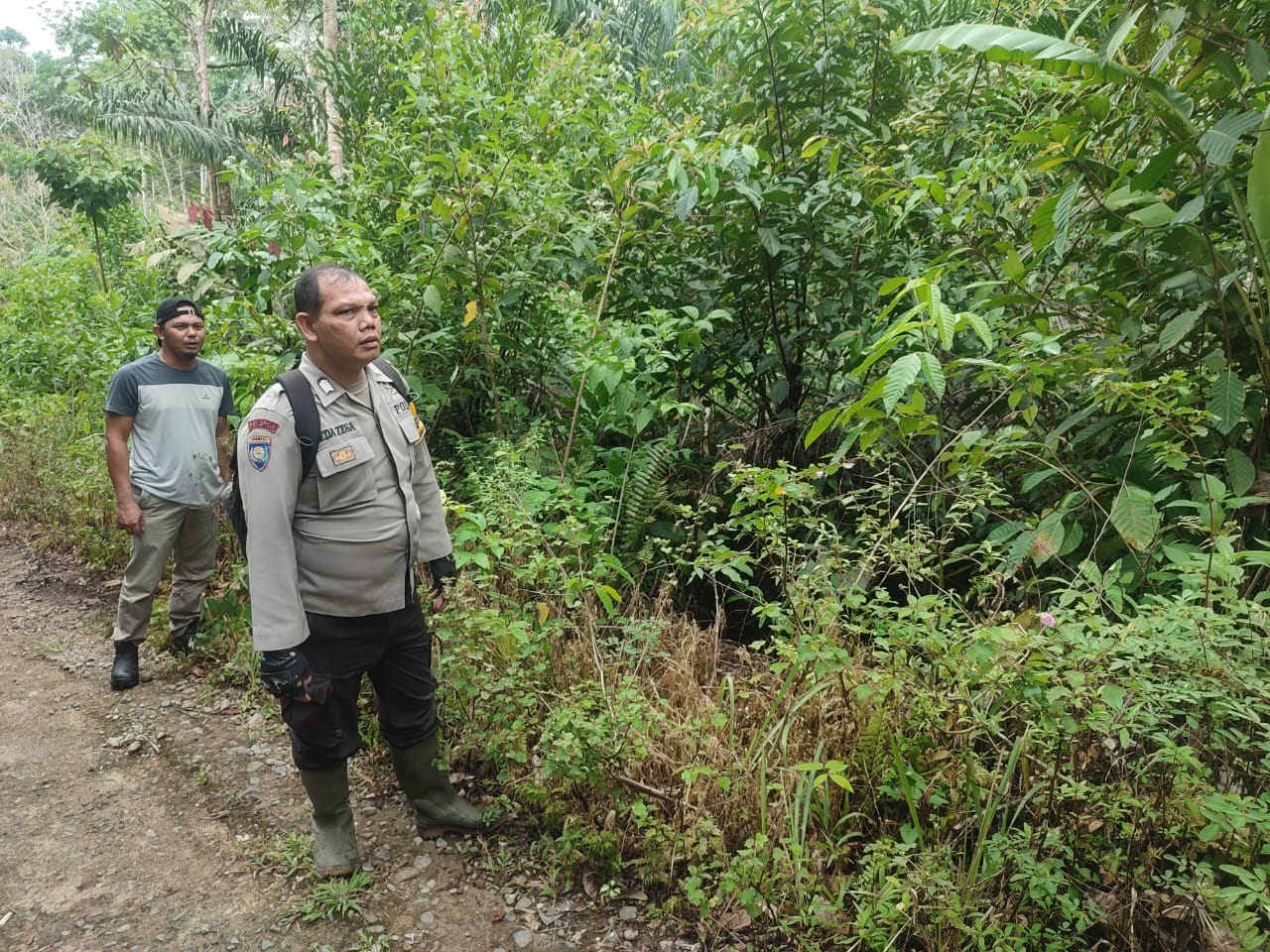 Kebakaran Lahan Panobasan Tapsel