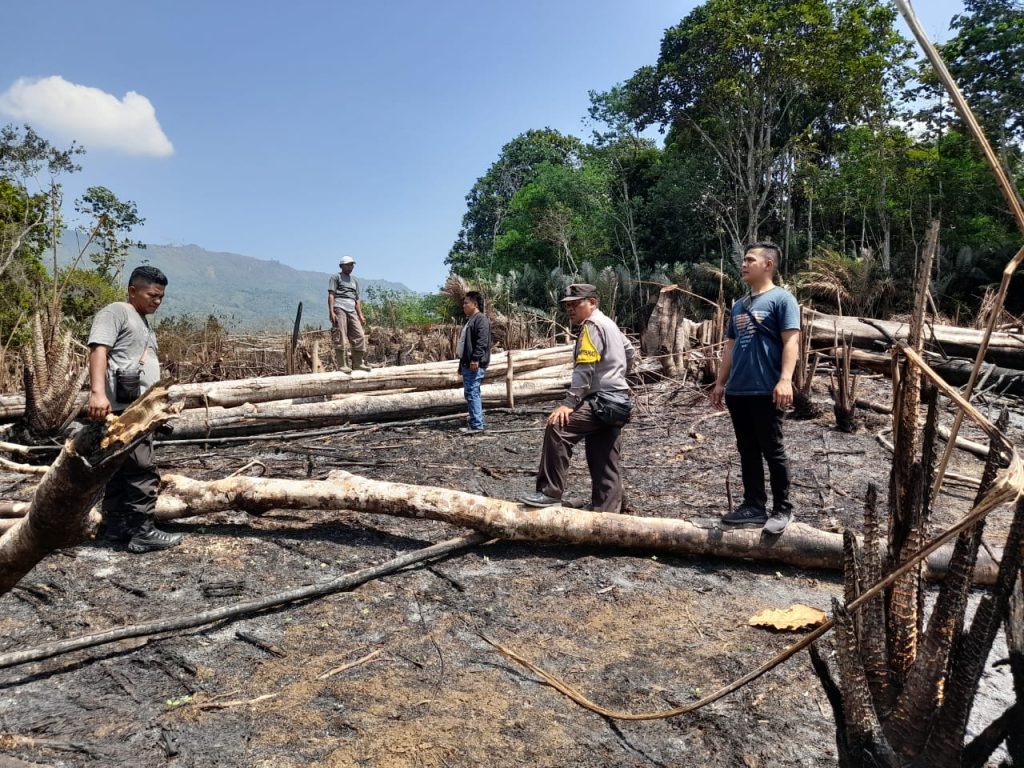 Dua Hektare Kebun Salak di Pardomuan Tapsel Terbakar