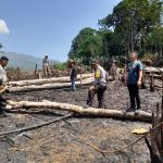 Kebun Salak Tapsel Terbakar