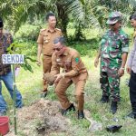 Tanam Pohon Padang Bolak