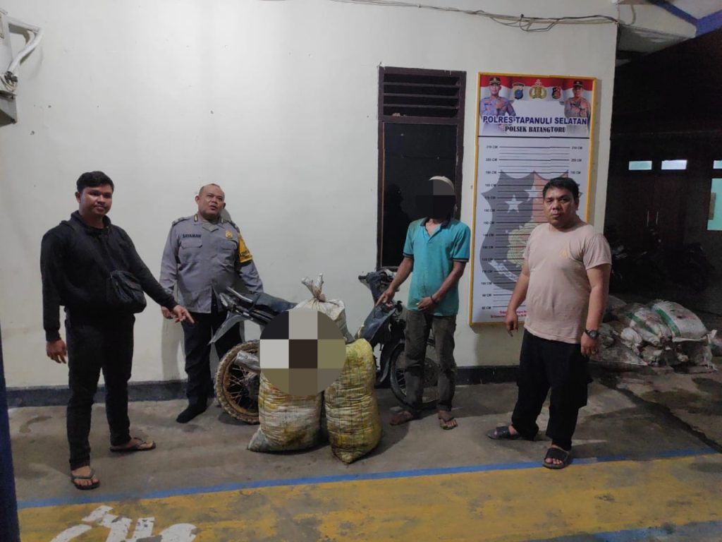 Pekebun Tertangkap Basah Gondol Sawit Perusahaan di Tapsel
