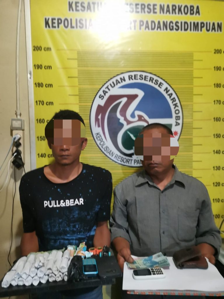 Awalnya Tangkap Pengedar Ganja, Rupanya Bandarnya Datang, Akhirnya Dua Orang Kena Ciduk Polisi   