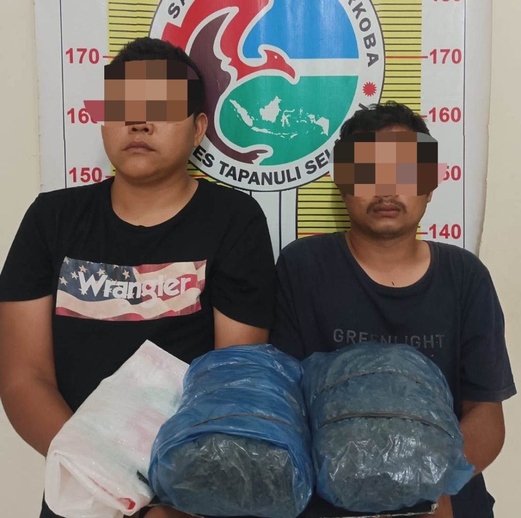 Buktikan Eksistensi, Sat Resnarkoba Polres Tapsel Gulung 2 Pengedar Ganja, Barbut 2 Kg Lebih   