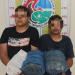 Sat Resnarkoba Polres Tapsel 2 Pengedar Ganja