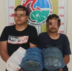 Buktikan Eksistensi, Sat Resnarkoba Polres Tapsel Gulung 2 Pengedar Ganja, Barbut 2 Kg Lebih