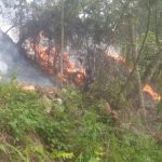 Polsek Hutaimbaru Tangani Kebakaran Lahan