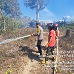 Lahan Terbakar Padang Bolak