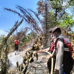 Sat Samapta Polres Tapsel Pemadaman Api di Hutan