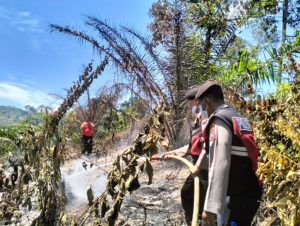 Sat Samapta Polres Tapsel Bantu Pemadaman Api di Hutan Nabundong