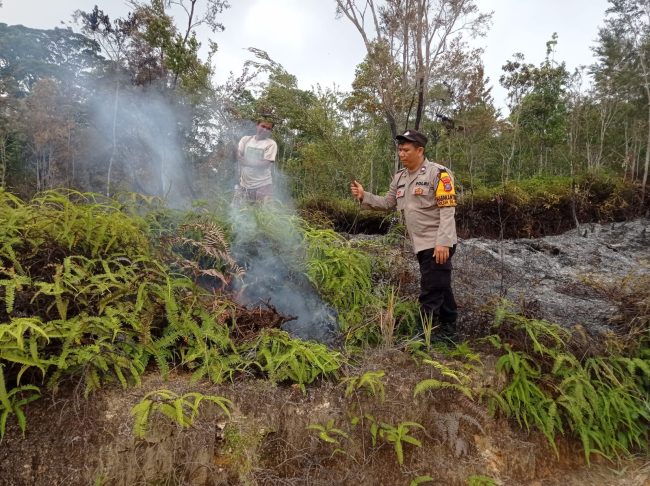 Lahan Ilalang Terbakar SD Hole