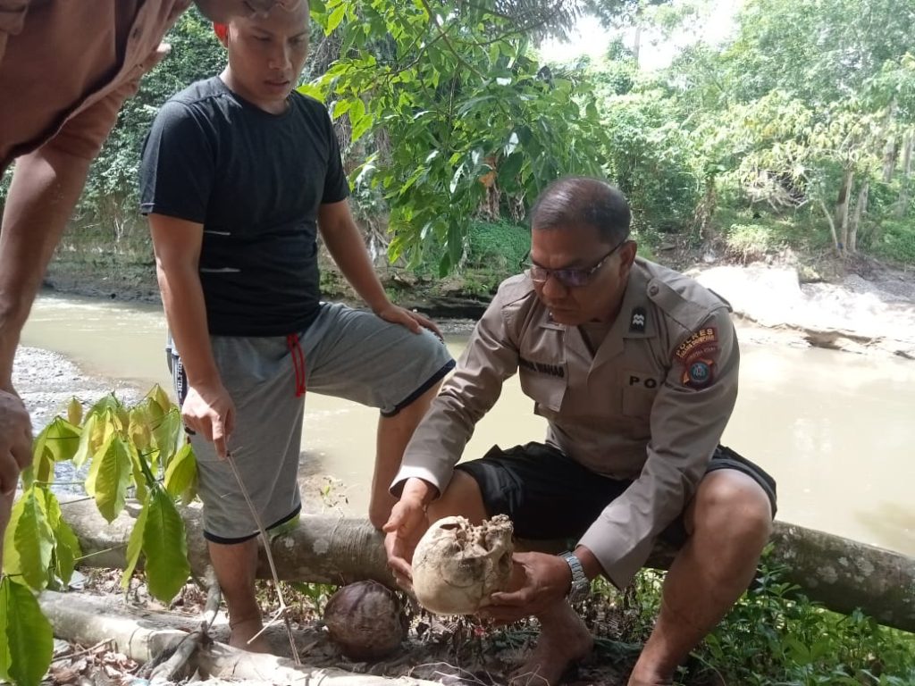 Tengkorak Manusia Muncul di Tepi Sungai, Siapa Gerangan?