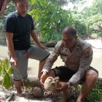 Tengkorak Manusia di Tepi Sungai