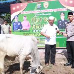 Kapolres Penyembelihan Hewan Kurban Polres Tapsel