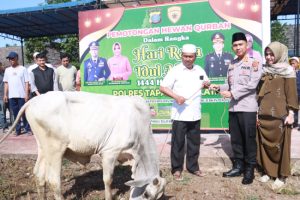 Kapolres Tinjau Penyembelihan Hewan Kurban Polres Tapsel di Aspol Sitataring
