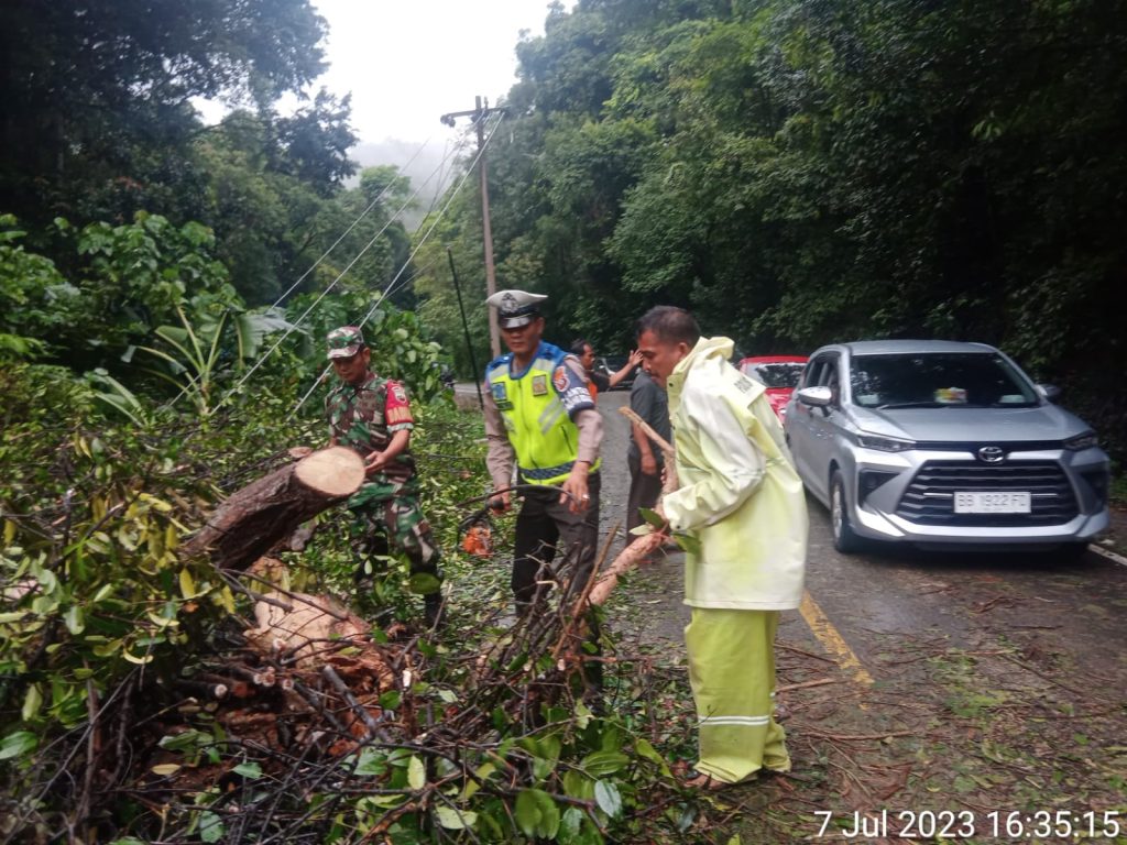 Polsek Padang Bolak Gercep Singkirkan Pohon Tumbang dan Tiang Listrik Roboh   