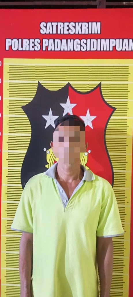 Pulang Ngambil Buah, Bocah 5 Tahun Jadi Korban Cabul Supir di Padangsidimpuan   