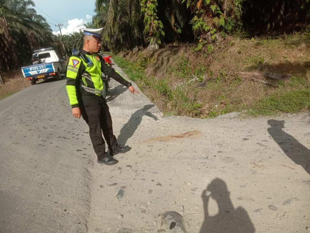 Tak Perhatikan Kenderaan Saat Belok, IRT dan Honorer “Diseruduk” Sepeda Motor dari Belakang