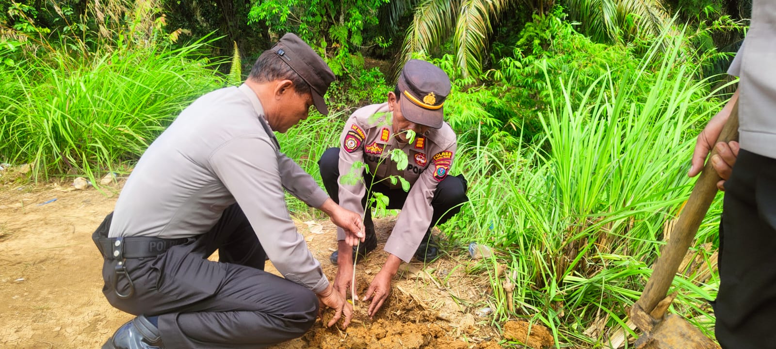 Kapolres Polsek Polres Tapsel Tanam Pohon Serentak