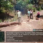 Polsek Sipirok Bantu Tebang Pohon Lapuk