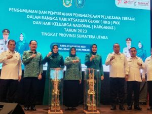 Raih Penghargaan Terbanyak, TP PKK Tapsel Juara Umum