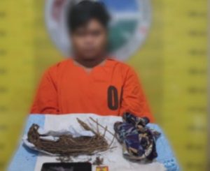 Simpan Ganja di Saku, Pengedar di Padangsidimpuan Tak Berkutik Ditangkap Polisi