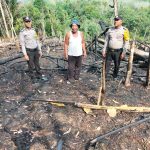 Setengah Hektare Lahan di Dolok Sigompulon Paluta Terbakar