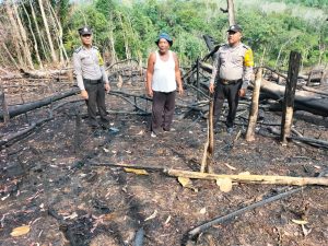 Setengah Hektare Lahan di Dolok Sigompulon Paluta Terbakar
