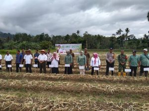 Dukungan ke Petani, Polsek Sipirok Hadiri Panen Perdana Bawang Merah