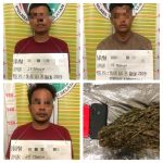 Komplotan kurir ganja berikut barang bukti usai dibekuk Sat Resnarkoba Polres Tapsel